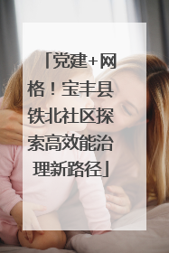 党建+网格！宝丰县铁北社区探索高效能治理新路径