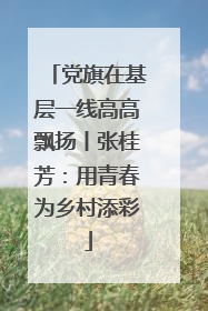 党旗在基层一线高高飘扬丨张桂芳：用青春为乡村添彩