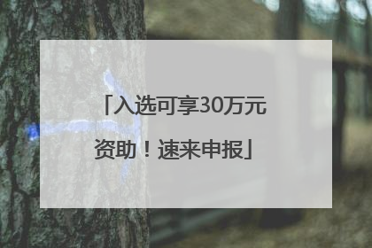 入选可享30万元资助！速来申报