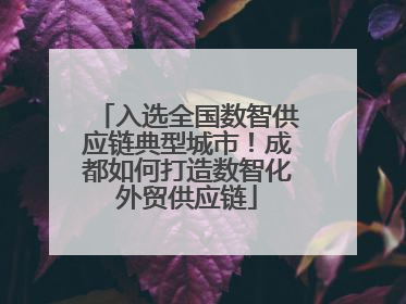 入选全国数智供应链典型城市！成都如何打造数智化外贸供应链