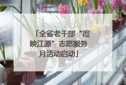 全省老干部“霞映江源”志愿服务月活动启动