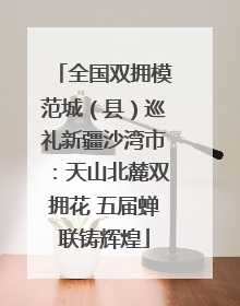 全国双拥模范城（县）巡礼新疆沙湾市：天山北麓双拥花 五届蝉联铸辉煌