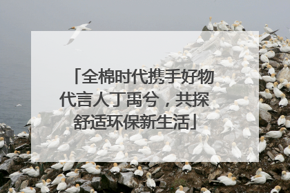 全棉时代携手好物代言人丁禹兮，共探舒适环保新生活
