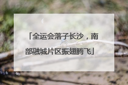 全运会落子长沙，南部融城片区振翅腾飞