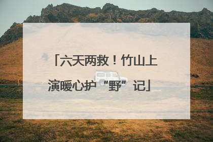 六天两救！竹山上演暖心护“野”记