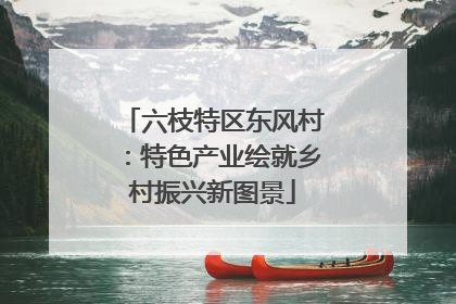 六枝特区东风村：特色产业绘就乡村振兴新图景
