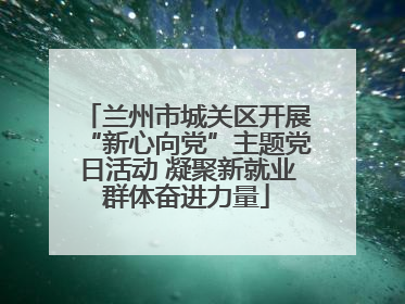 兰州市城关区开展“新心向党”主题党日活动 凝聚新就业群体奋进力量