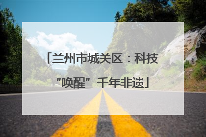 兰州市城关区：科技“唤醒”千年非遗