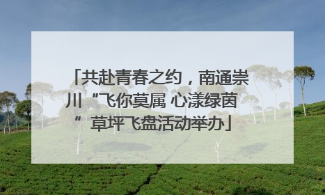 共赴青春之约，南通崇川“飞你莫属 心漾绿茵”草坪飞盘活动举办