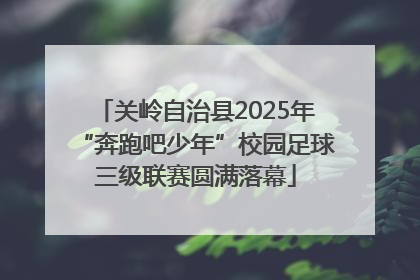关岭自治县2025年“奔跑吧少年”校园足球三级联赛圆满落幕