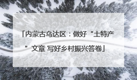 内蒙古乌达区：做好“土特产”文章 写好乡村振兴答卷
