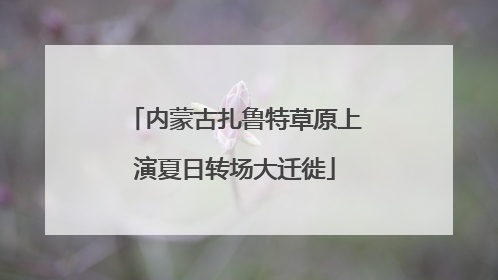 内蒙古扎鲁特草原上演夏日转场大迁徙