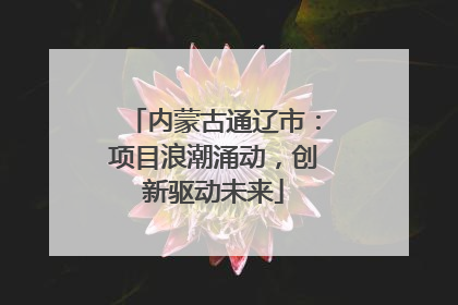 内蒙古通辽市：项目浪潮涌动，创新驱动未来