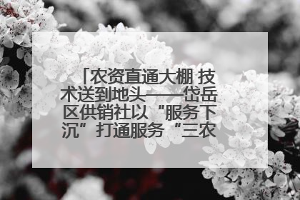 农资直通大棚 技术送到地头——岱岳区供销社以“服务下沉”打通服务“三农”最后一公里