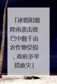 冰雹和强降雨袭击致巴中数千亩农作物受损，政府多举措救灾