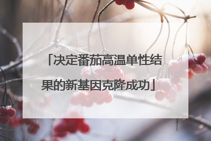 决定番茄高温单性结果的新基因克隆成功