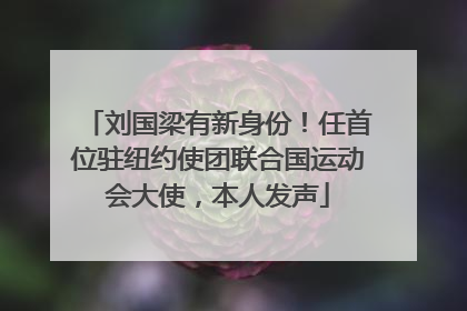 刘国梁有新身份！任首位驻纽约使团联合国运动会大使，本人发声
