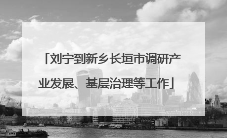 刘宁到新乡长垣市调研产业发展、基层治理等工作