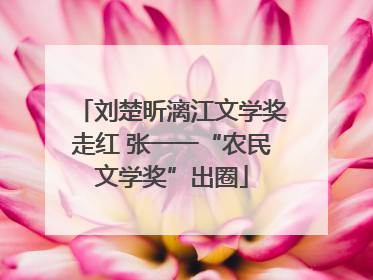 刘楚昕漓江文学奖走红 张一一“农民文学奖”出圈
