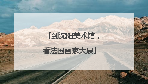 到沈阳美术馆，看法国画家大展