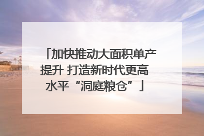 加快推动大面积单产提升 打造新时代更高水平“洞庭粮仓”