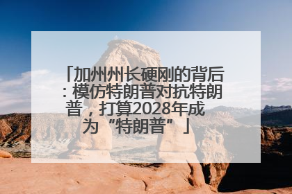 加州州长硬刚的背后：模仿特朗普对抗特朗普，打算2028年成为“特朗普”