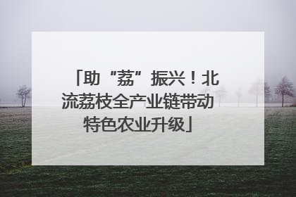 助“荔”振兴！北流荔枝全产业链带动特色农业升级