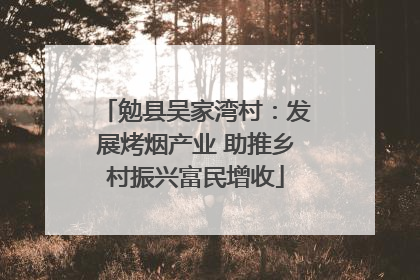 勉县吴家湾村：发展烤烟产业 助推乡村振兴富民增收