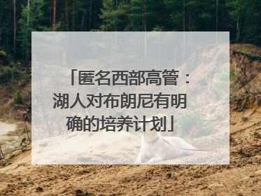 匿名西部高管：湖人对布朗尼有明确的培养计划