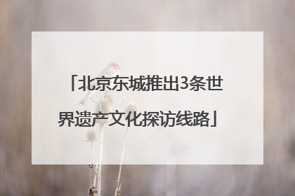 北京东城推出3条世界遗产文化探访线路
