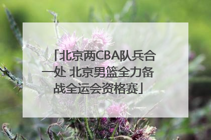 北京两CBA队兵合一处 北京男篮全力备战全运会资格赛