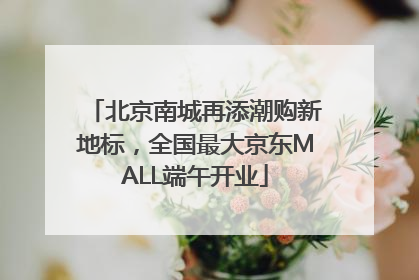 北京南城再添潮购新地标，全国最大京东MALL端午开业