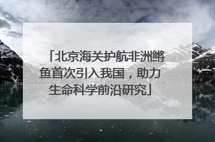 北京海关护航非洲鳉鱼首次引入我国，助力生命科学前沿研究