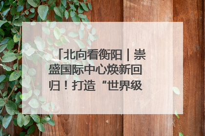 北向看衡阳｜崇盛国际中心焕新回归！打造“世界级美食主题公园”