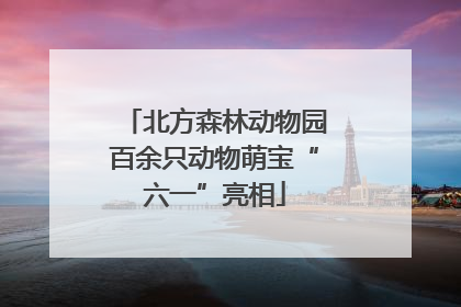 北方森林动物园百余只动物萌宝“六一”亮相