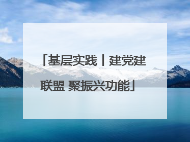 基层实践丨建党建联盟 聚振兴功能