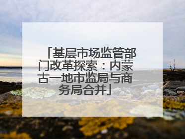 基层市场监管部门改革探索：内蒙古一地市监局与商务局合并
