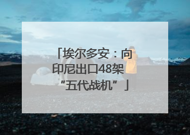埃尔多安：向印尼出口48架“五代战机”