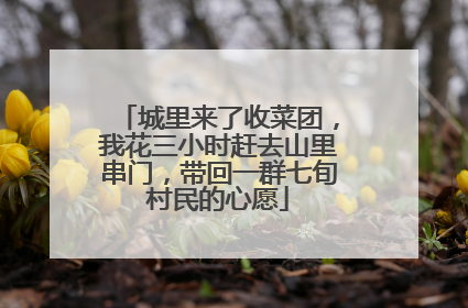 城里来了收菜团，我花三小时赶去山里串门，带回一群七旬村民的心愿