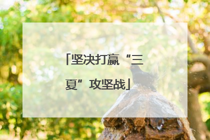 坚决打赢“三夏”攻坚战