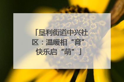 垦利街道中兴社区：温暖相“育” 快乐启“萌”
