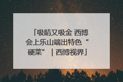 吸睛又吸金 西博会上乐山端出特色“硬菜”｜西博视界