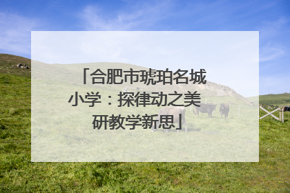 合肥市琥珀名城小学：探律动之美 研教学新思