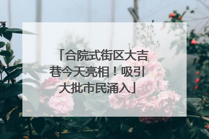 合院式街区大吉巷今天亮相！吸引大批市民涌入