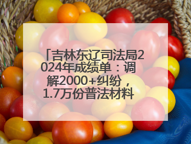 吉林东辽司法局2024年成绩单：调解2000+纠纷，1.7万份普法材料飞入百姓家！