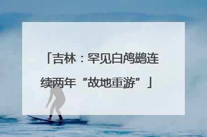 吉林：罕见白鸬鹚连续两年“故地重游”