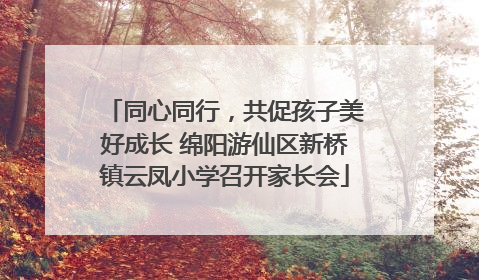 同心同行，共促孩子美好成长 绵阳游仙区新桥镇云凤小学召开家长会