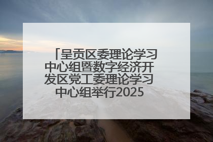 呈贡区委理论学习中心组暨数字经济开发区党工委理论学习中心组举行2025年第七次学习会议