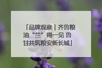 品牌观察｜齐鲁粮油“兰”得一见 鲁甘共筑粮安新长城