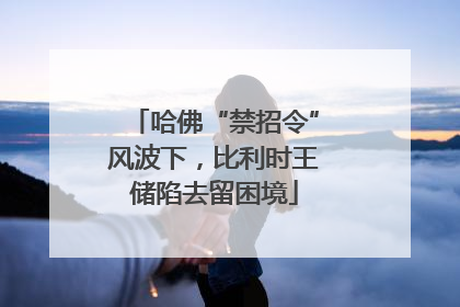 哈佛“禁招令”风波下，比利时王储陷去留困境